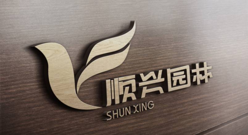 镇康县VI设计：城市品牌蝶变的核心引擎